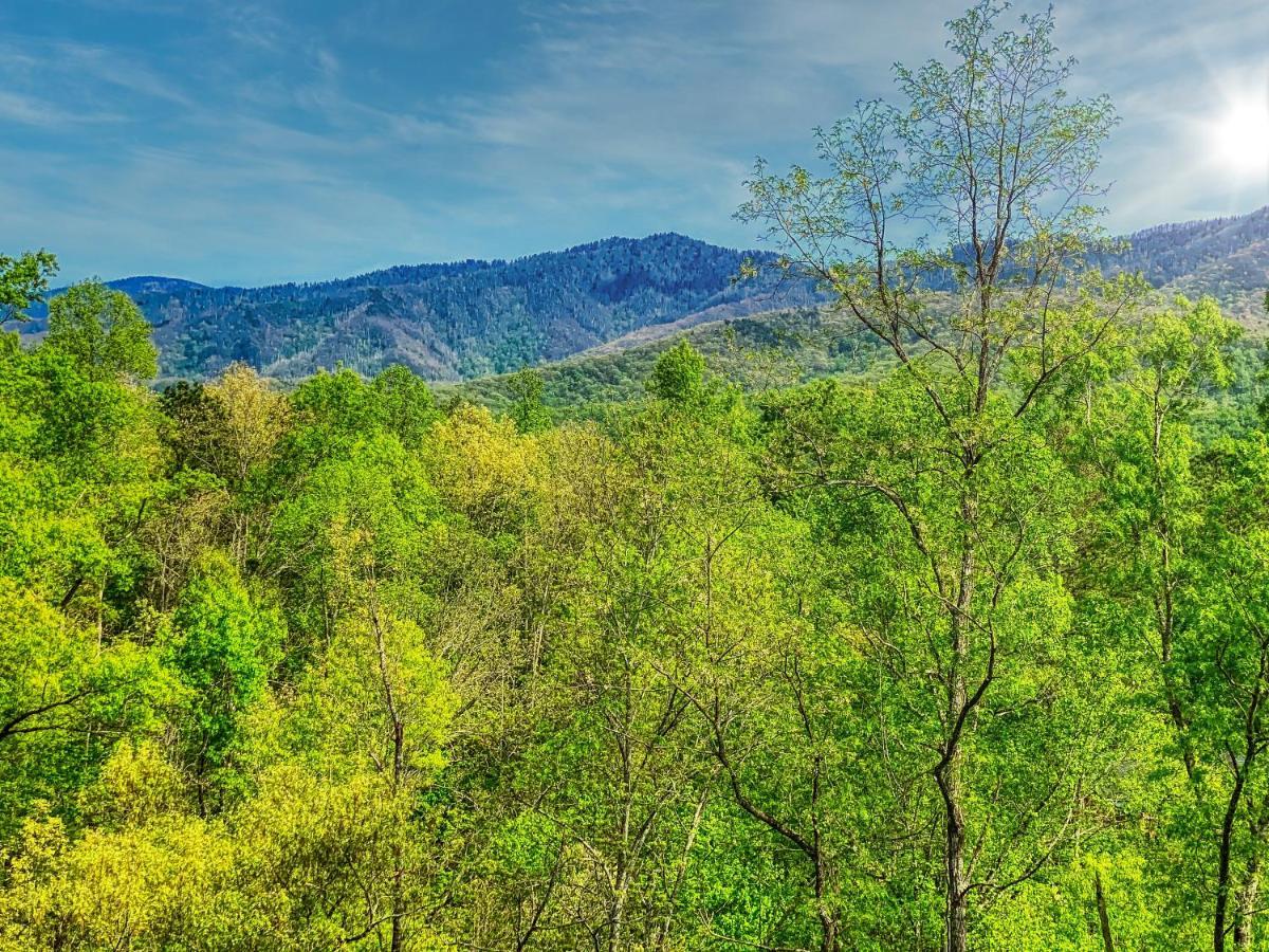 Willa Amazing Views Gatlinburg Zewnętrze zdjęcie
